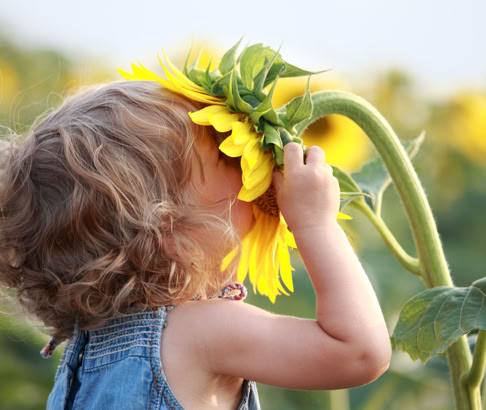 que es mente serena 7 que es mente serena, beñat michelena, psicología, resolver problemas
