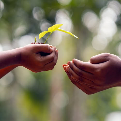 crecimiento crecimiento personal resolver problemas mente serena, beñat michelena,